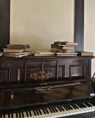 henry plays the piano while i read a book,